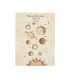 کلاسور 26 حلقه سم - طرح Solar System