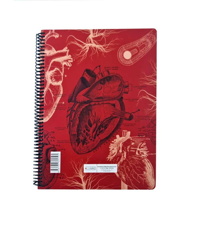 دفتر 100 برگ رحلی Science دات نوت dotnote طرح آناتومی قلب