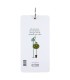 دفتر یادداشت حلقه دار women's life - طرح 1